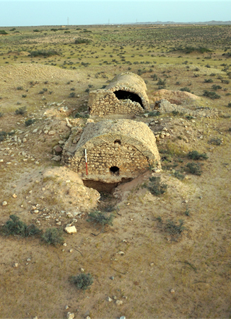 Fesagui image 3